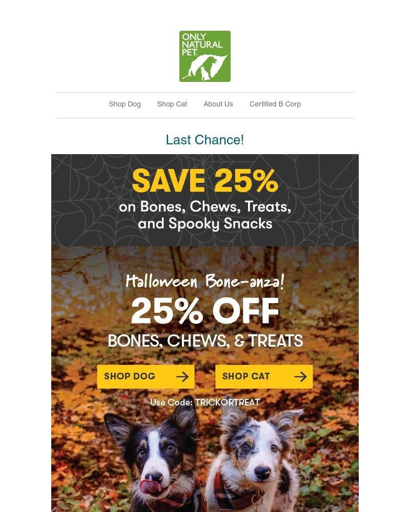 Screenshot of email with subject /media/emails/let-your-pet-sink-their-teeth-into-25-off-treats-6b976c-cropped-faeeae70.jpg