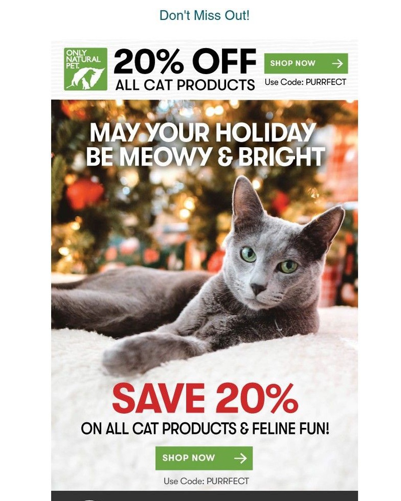 Screenshot of email with subject /media/emails/let-your-pet-unwrap-20-off-48c626-cropped-704d2235.jpg