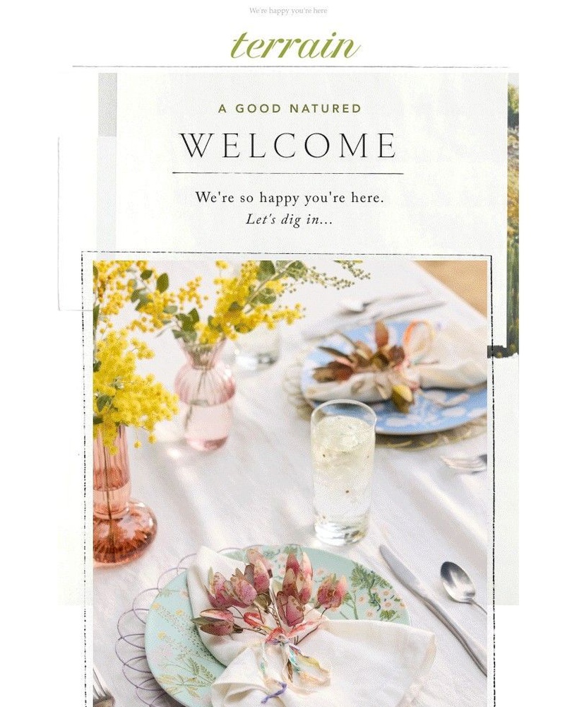Screenshot of email sent to a Anthropologie Newsletter subscriber