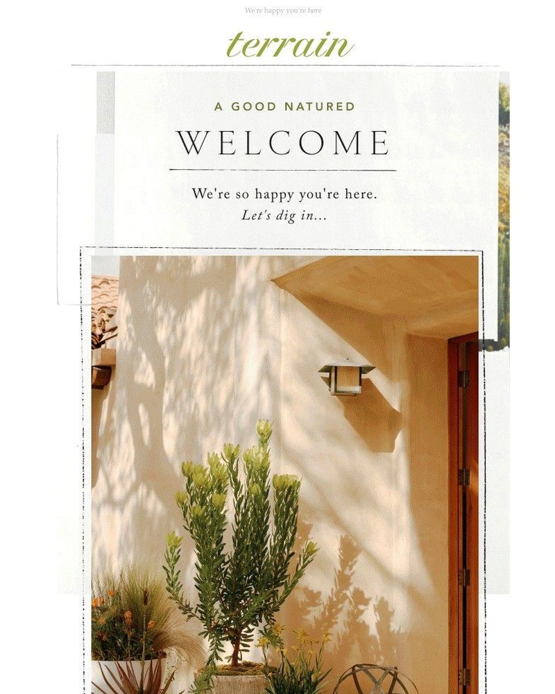 Screenshot of email sent to a Terrain Newsletter subscriber