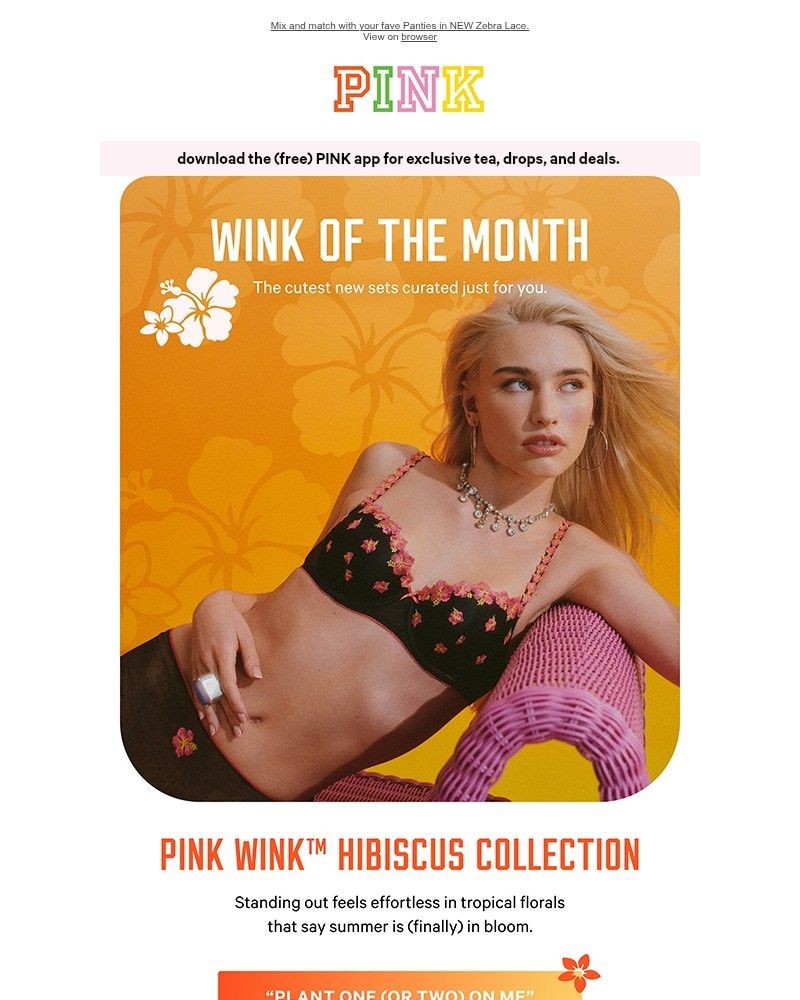 Screenshot of email with subject /media/emails/lets-get-tropical-new-hibiscus-663cf4-cropped-c9626b6c.jpg