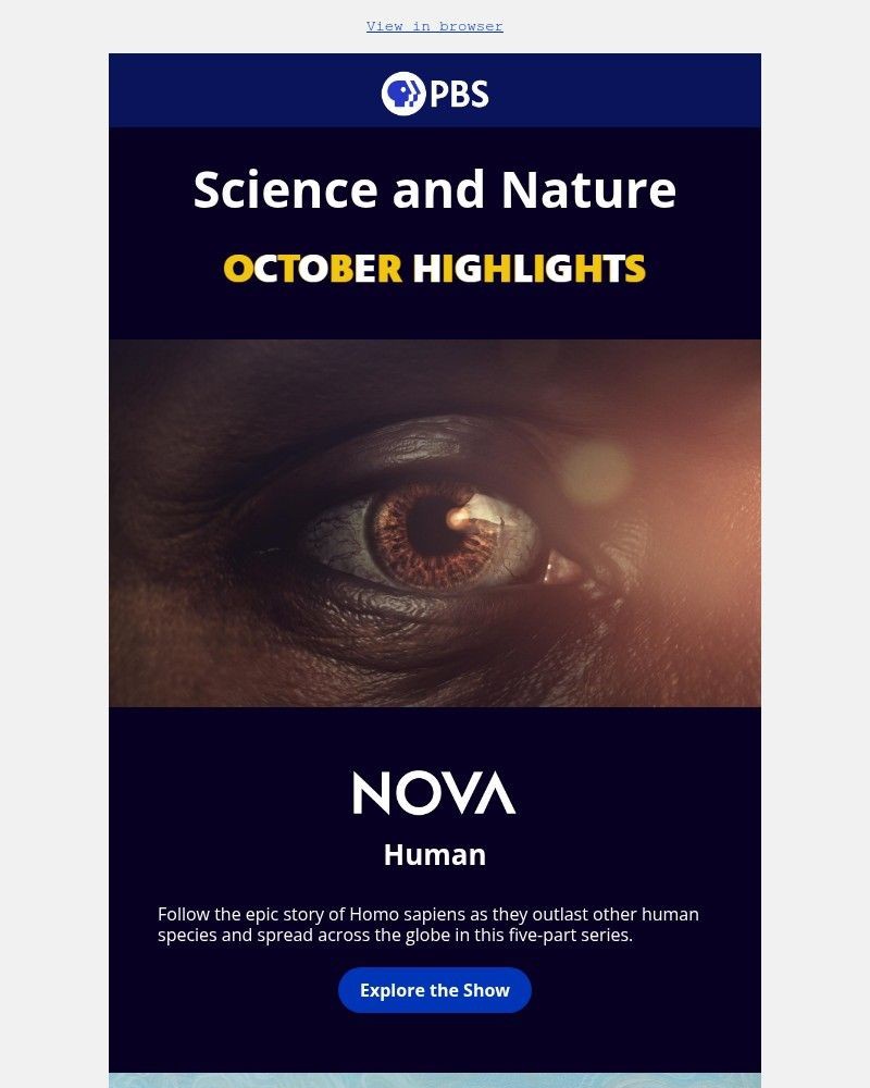 Screenshot of email with subject /media/emails/lets-get-wild-this-october-87620d-cropped-71660491.jpg