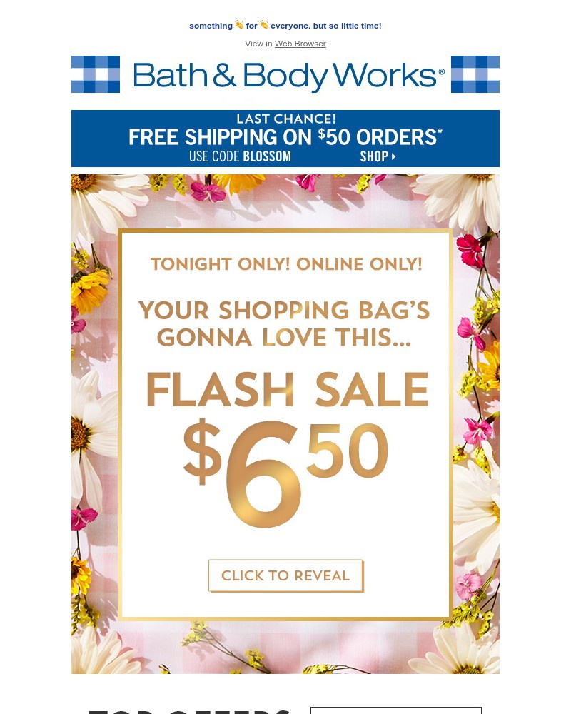 Screenshot of email with subject /media/emails/lets-gooo-this-flash-sale-is-tonight-only-81b57a-cropped-6dcd2fe4.jpg