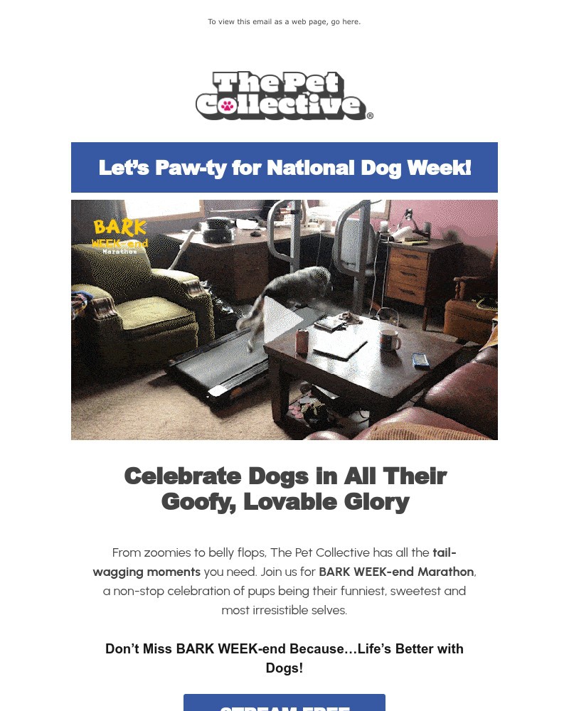 Screenshot of email with subject /media/emails/lets-paw-ty-its-bark-week-end-71185f-cropped-df69bc80.jpg