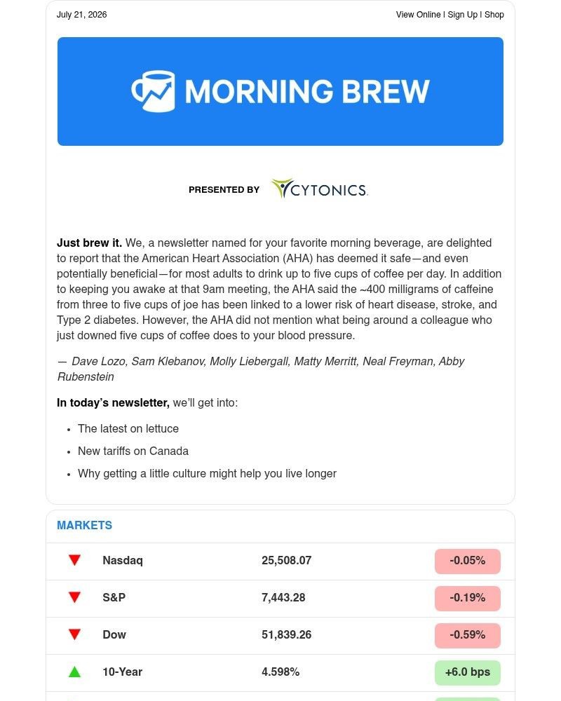 Screenshot of email sent to a Morning Brew Newsletter subscriber