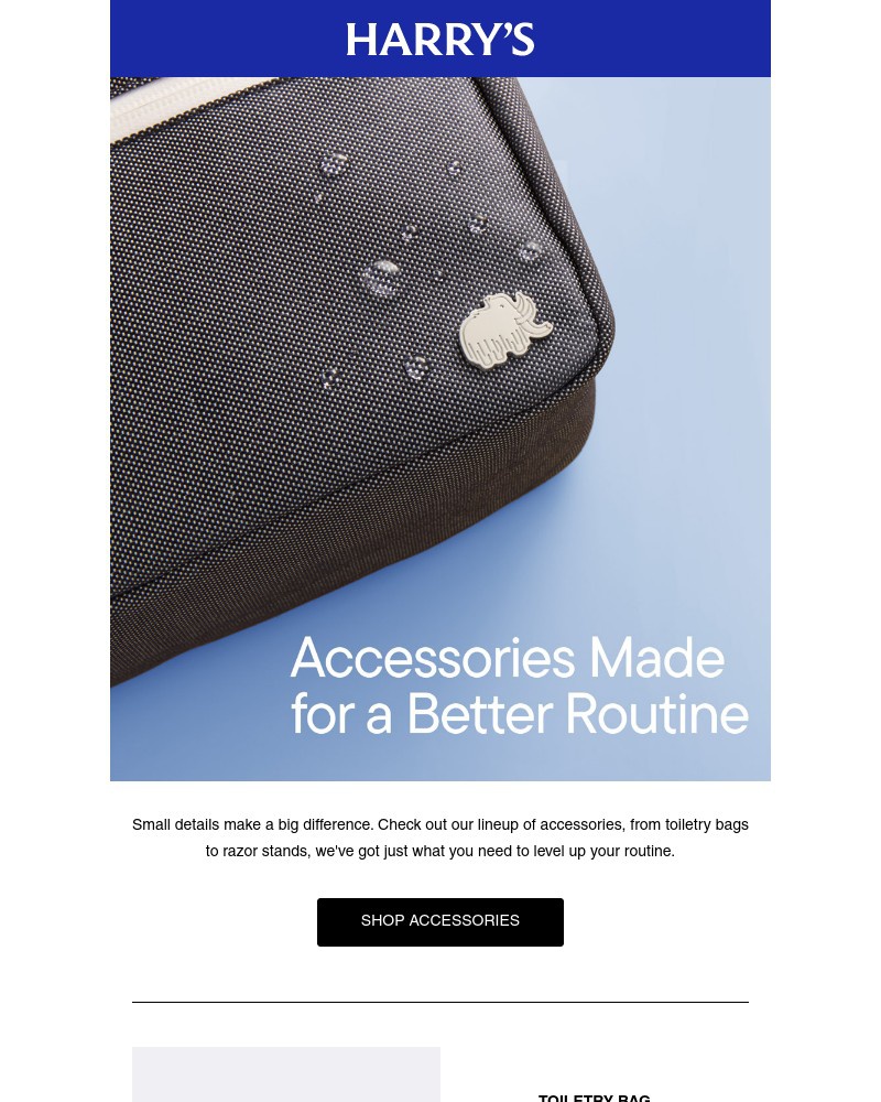 Screenshot of email with subject /media/emails/level-up-your-routine-e641e6-cropped-8872c5e8.jpg