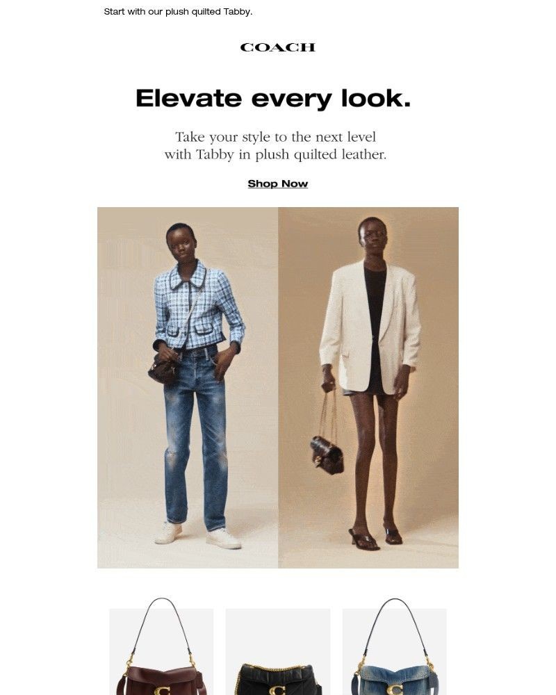 Screenshot of email with subject /media/emails/level-up-your-style-a27d23-cropped-cb0abdb2.jpg