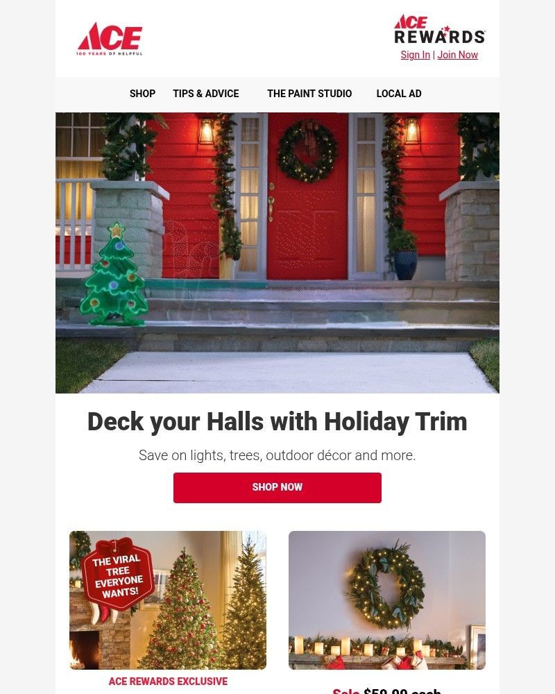 Screenshot of email sent to a Ace Hardware Newsletter subscriber