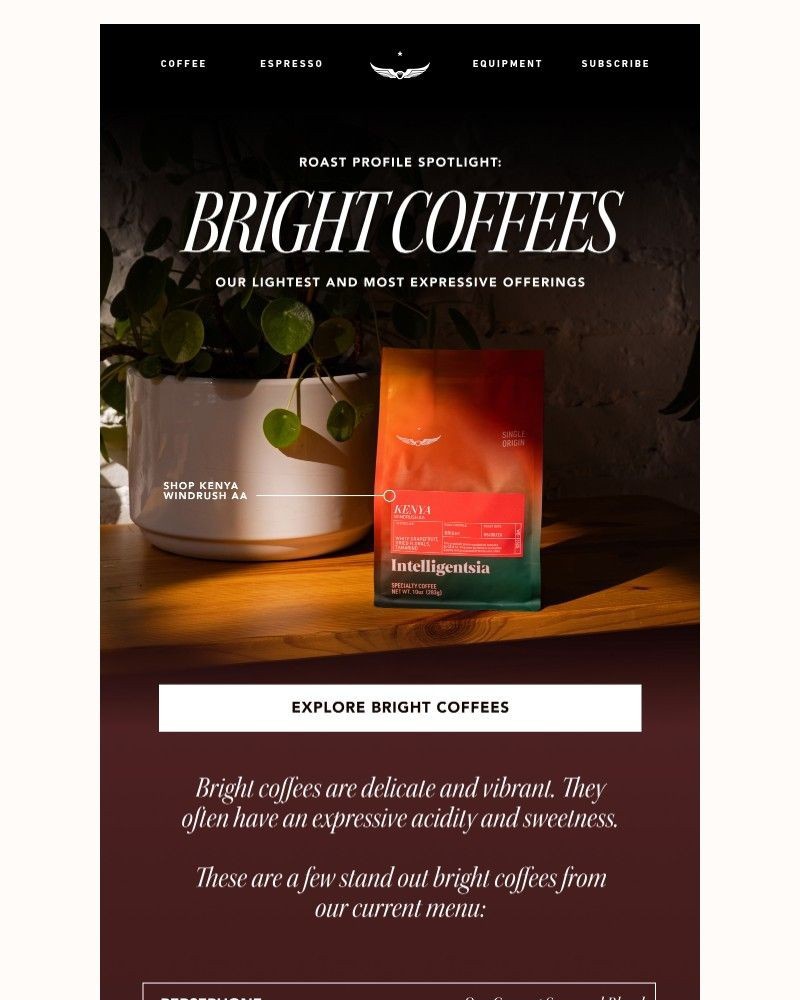 Screenshot of email sent to a Intelligentsia Newsletter subscriber