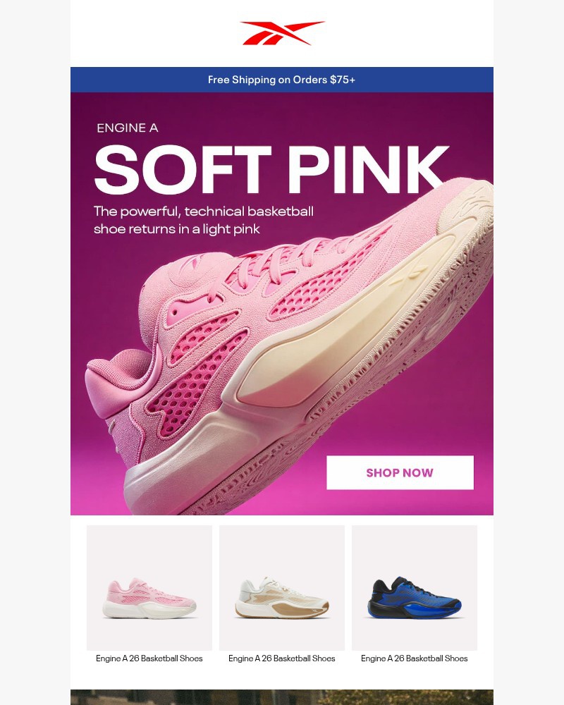 Screenshot of email sent to a Reebok Newsletter subscriber