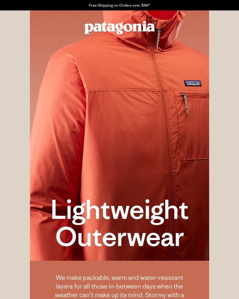 Screenshot of email sent to a Patagonia Newsletter subscriber