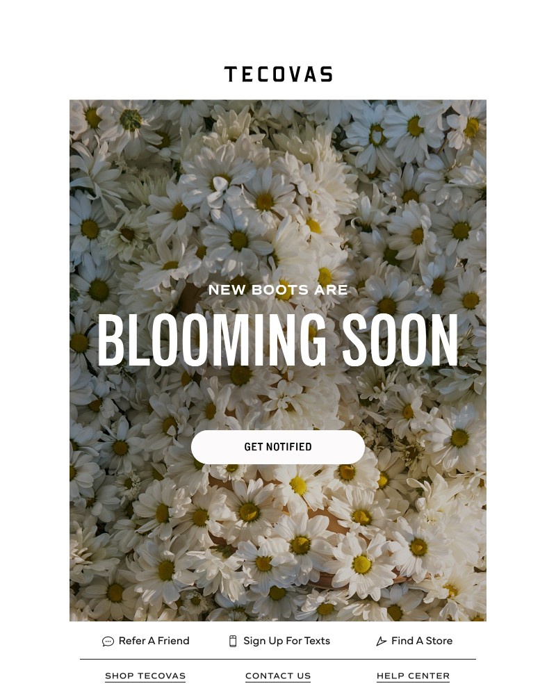 Screenshot of email with subject /media/emails/limited-edition-charlie-and-jolene-are-blooming-soon-67a6ad-cropped-bfc7bc77.jpg