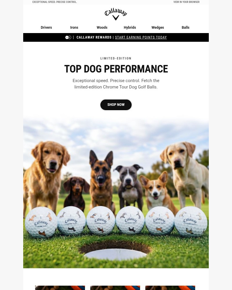 Screenshot of email sent to a Callaway Golf Newsletter subscriber
