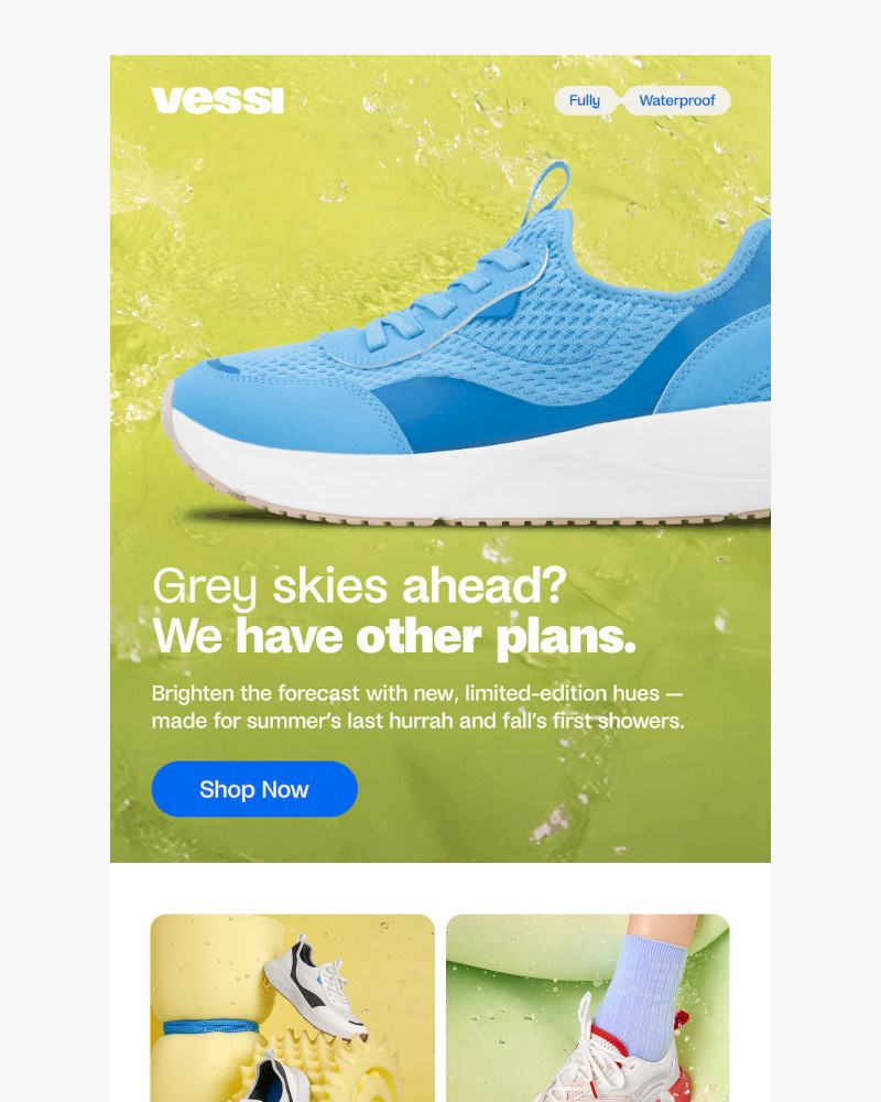 Screenshot of email with subject /media/emails/limited-edition-fall-colours-just-dropped-a0412e-cropped-269b2bbc.jpg