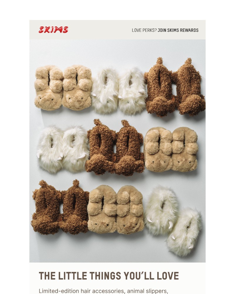 Screenshot of email with subject /media/emails/limited-edition-holiday-accessories-acb6ea-cropped-27f681b0.jpg