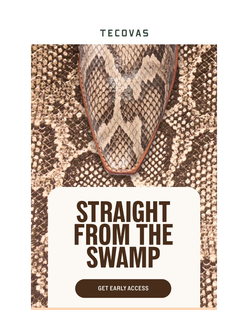 Screenshot of email sent to a Tecovas Newsletter subscriber