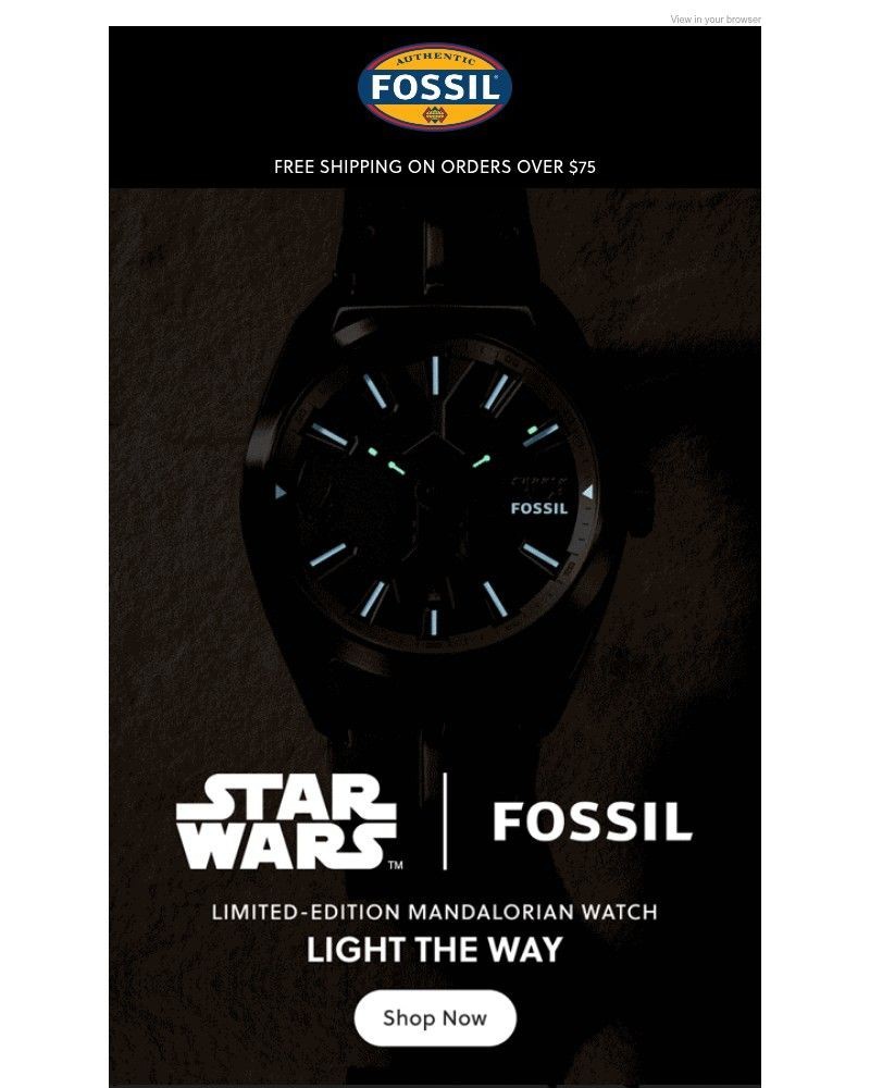 Screenshot of email sent to a Fossil Newsletter subscriber