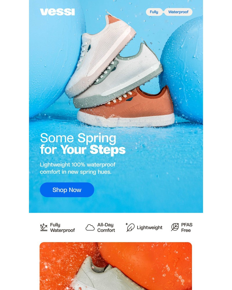 Screenshot of email with subject /media/emails/limited-edition-spring-styles-7adf34-cropped-1de5af9b.jpg