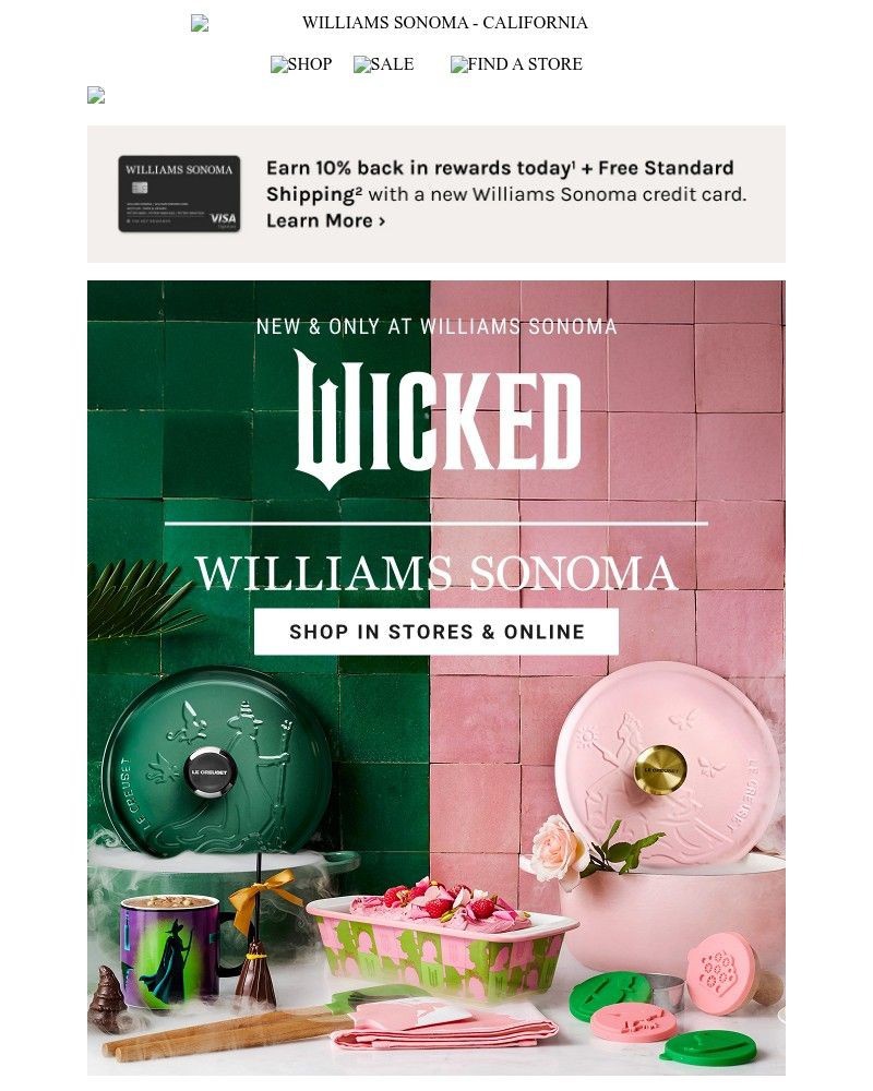 Screenshot of email with subject /media/emails/limited-edition-wicked-x-williams-sonoma-is-here-d3c42a-cropped-2e13b141.jpg