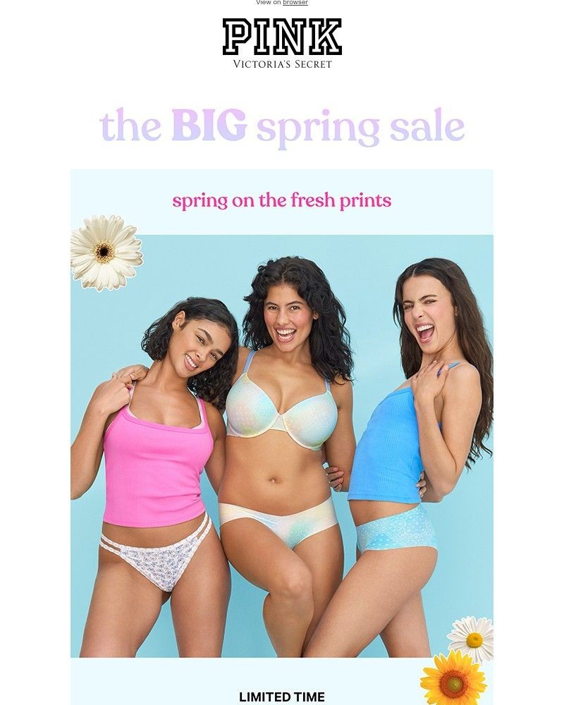 Screenshot of email with subject /media/emails/limited-time-1040-spring-panties-2f47a7-cropped-f6402519.jpg