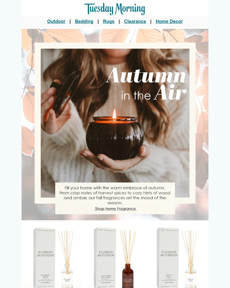 Screenshot of email with subject /media/emails/limited-time-autumn-scents-dont-miss-out-de789c-cropped-6f664ec8.jpg