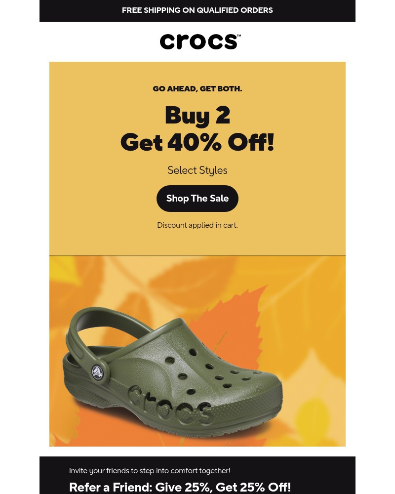 Screenshot of email with subject /media/emails/limited-time-buy-2-get-40-off-86dd3e-cropped-85420186.jpg