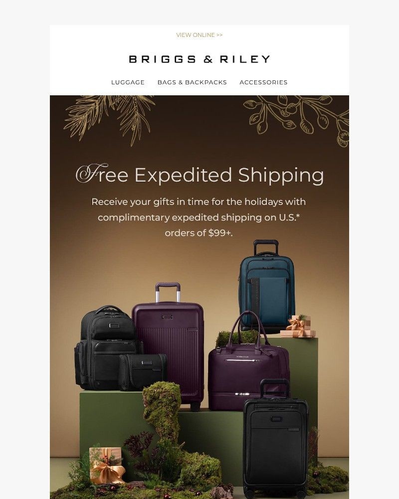 Screenshot of email with subject /media/emails/limited-time-enjoy-free-expedited-shipping-50d41d-cropped-69606ea2.jpg