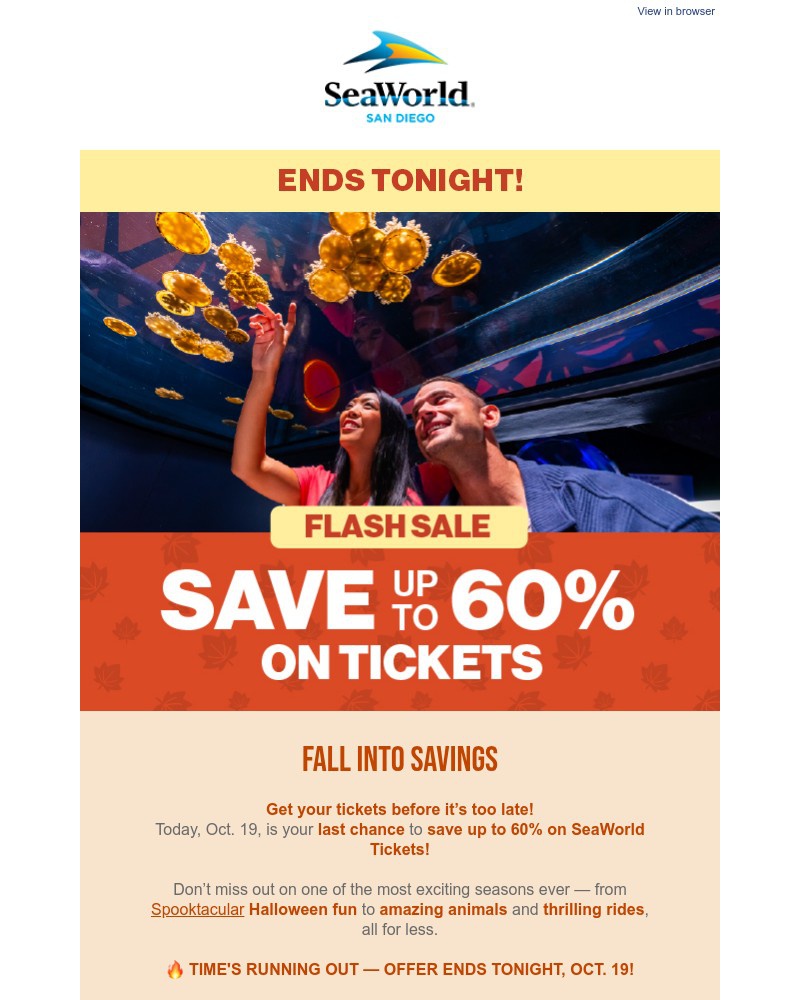 Screenshot of email with subject /media/emails/limited-time-offer-ends-tonight-save-up-to-60-on-tickets-e7f8fb-cropped-fe0501d7.jpg
