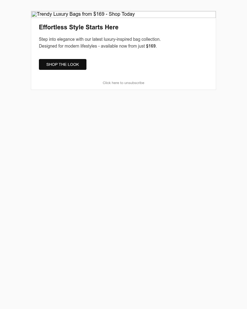 Screenshot of email with subject /media/emails/limited-time-offer-luxury-bags-from-169-dont-miss-out-8ab044-cropped-62f60074.jpg