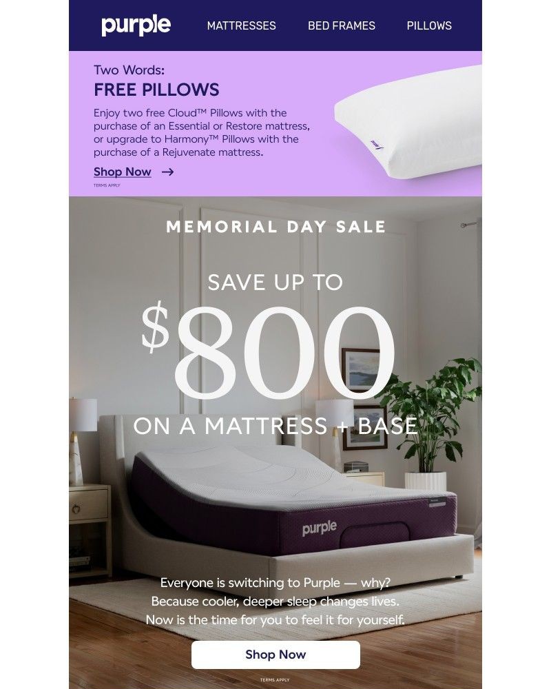 Screenshot of email with subject /media/emails/limited-time-only-2-free-pillows-with-purchase-d20597-cropped-f7de2fc5.jpg