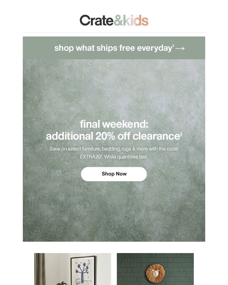 Screenshot of email with subject /media/emails/limited-time-only-extra-20-off-clearance-68c406-cropped-a858727a.jpg