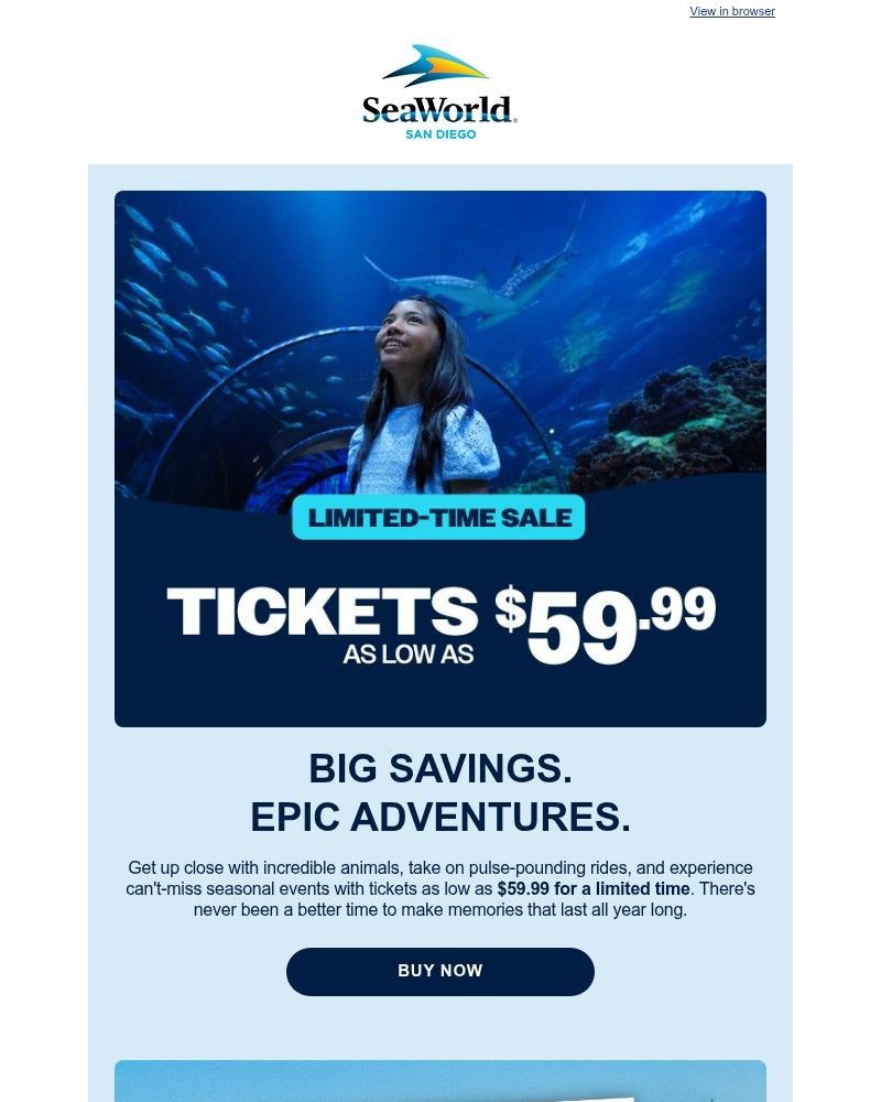 Screenshot of email with subject /media/emails/limited-time-sale-tickets-as-low-as-5999-8418ef-cropped-20c01b2b.jpg