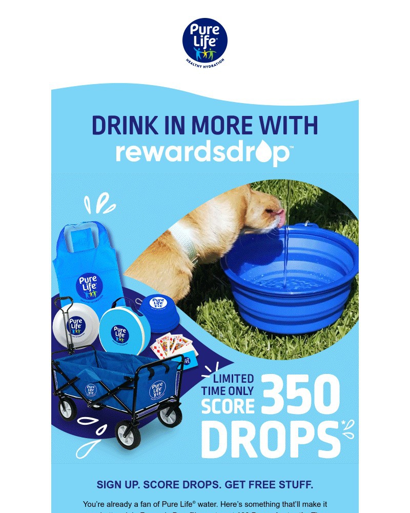 Screenshot of email sent to a Pure Life Newsletter subscriber