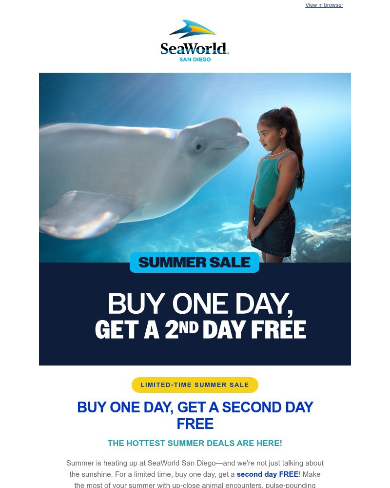 Screenshot of email with subject /media/emails/limited-time-summer-sale-second-visit-free-5af56e-cropped-f3a6ea21.jpg