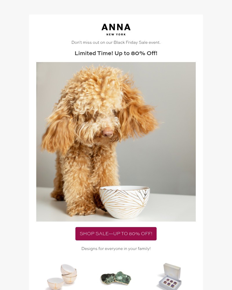 Screenshot of email sent to a ANNA by RadLabs Newsletter subscriber