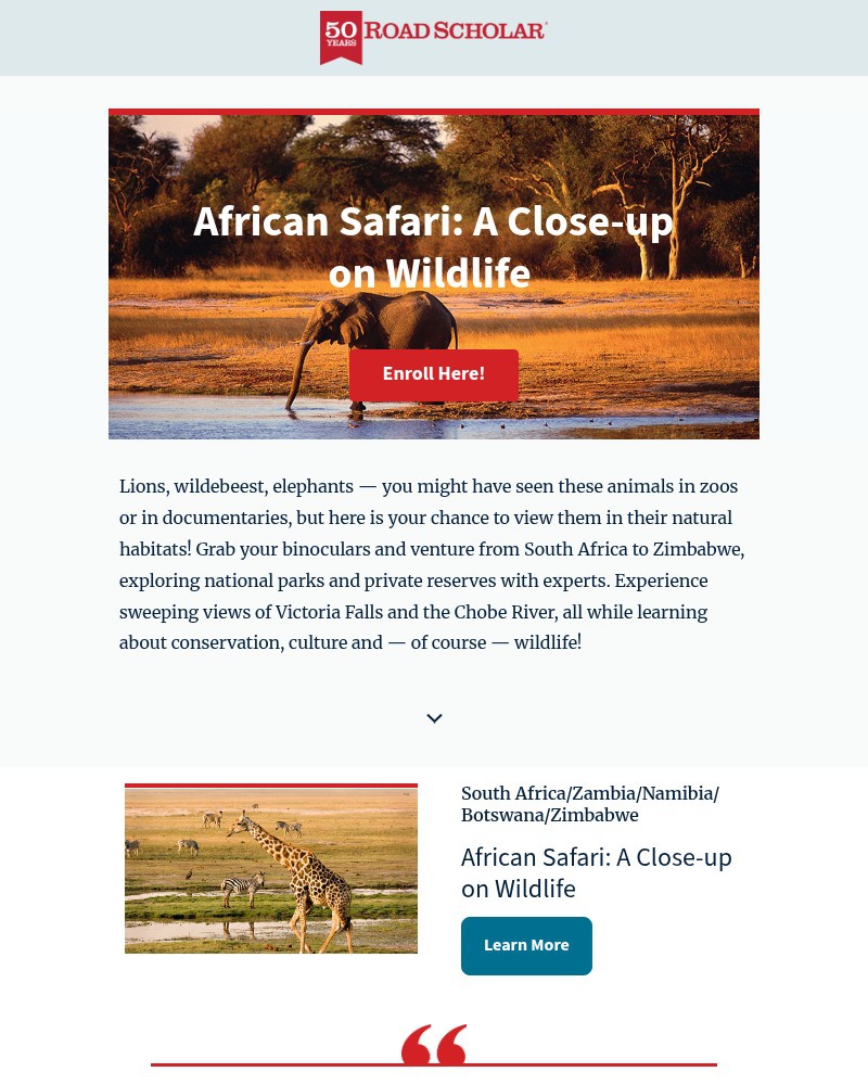 Screenshot of email with subject /media/emails/lions-leopards-elephants-oh-my-478f15-cropped-26ea48af.jpg