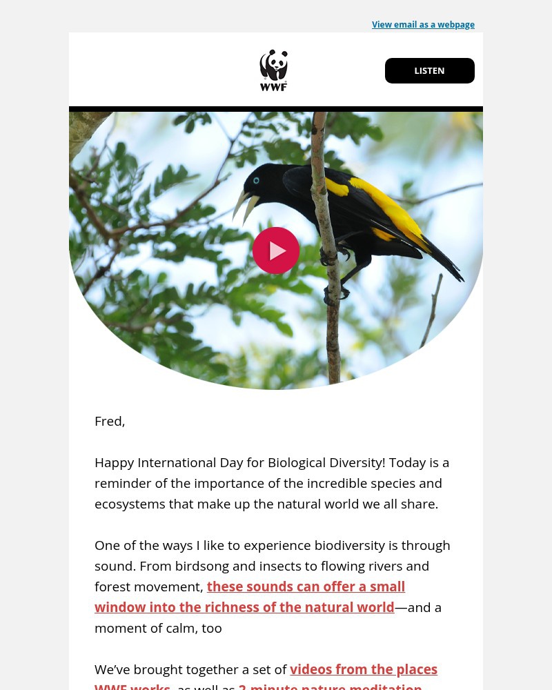 Screenshot of email with subject /media/emails/listen-this-is-what-nature-healing-sounds-like-400c84-cropped-90b927fc.jpg