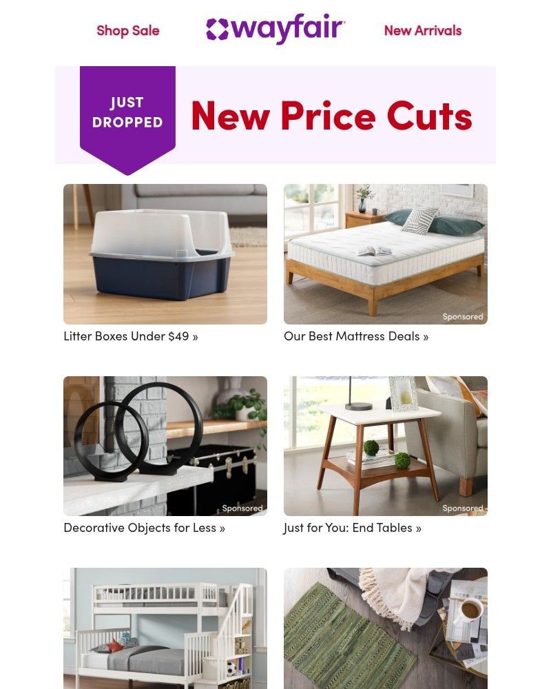 Screenshot of email with subject /media/emails/litter-boxes-under-49-91de0e-cropped-3ac5da98.jpg