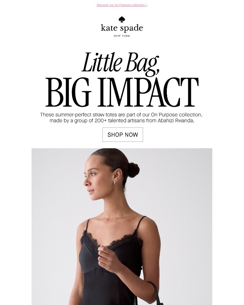 Screenshot of email with subject /media/emails/little-bags-with-a-big-story-40ed33-cropped-a2d95b38.jpg