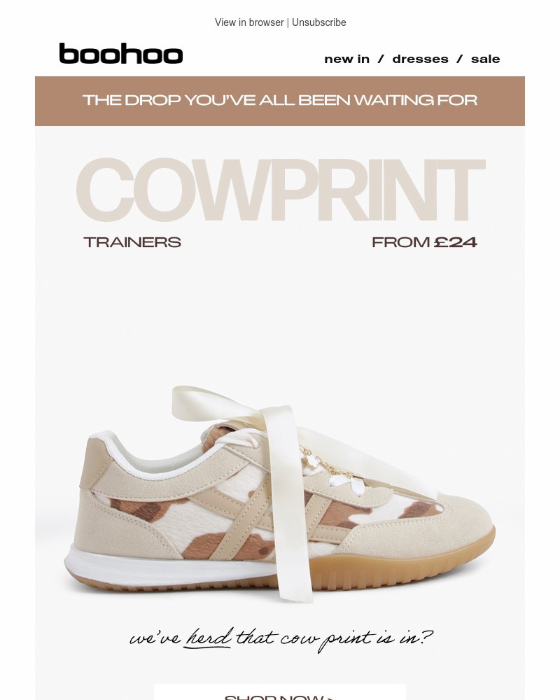 Screenshot of email with subject /media/emails/live-cow-print-trainers-8269de-cropped-1f511bab.jpg