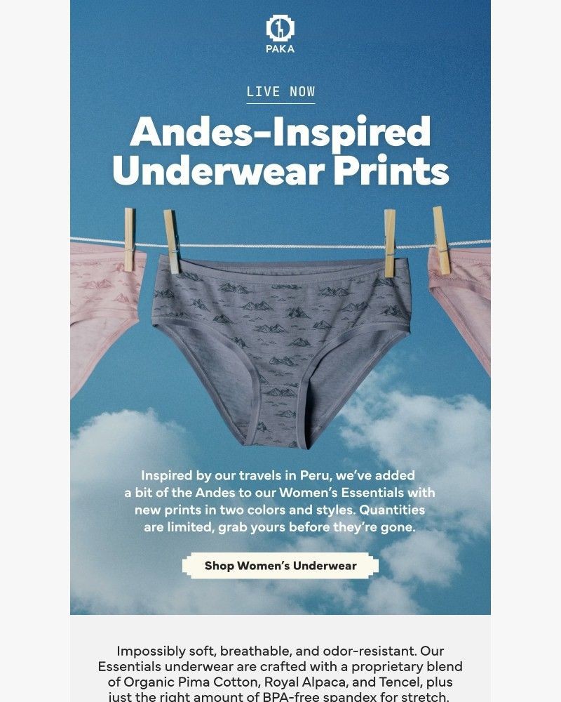 Screenshot of email with subject /media/emails/live-now-andes-inspired-womens-underwear-prints-586bb1-cropped-d42d5714.jpg
