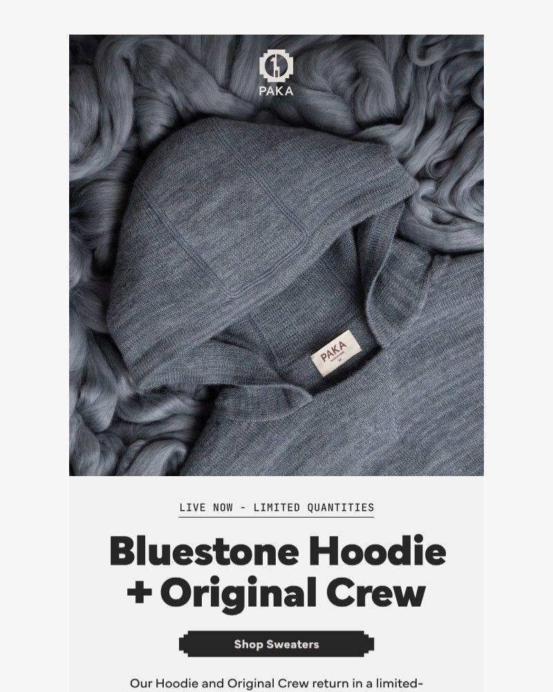 Screenshot of email sent to a Paka Newsletter subscriber