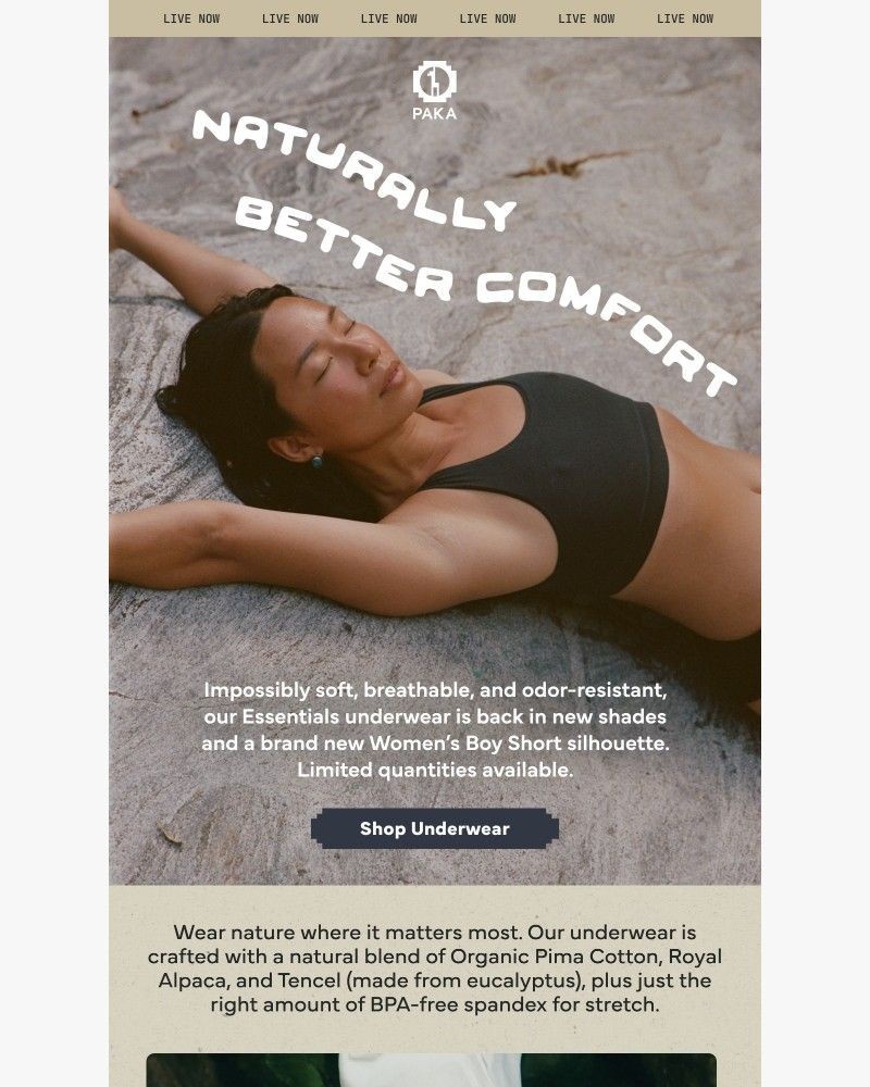 Screenshot of email sent to a Paka Newsletter subscriber