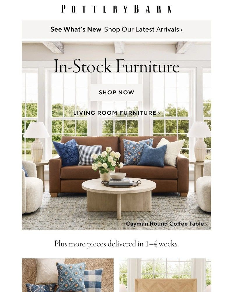Screenshot of email with subject /media/emails/living-room-furniture-that-ships-quick-89444f-cropped-3dcc87e9.jpg