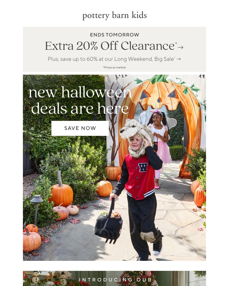 Screenshot of email with subject /media/emails/long-weekend-sale-ends-tomorrow-a34c0e-cropped-0d2e59d9.jpg