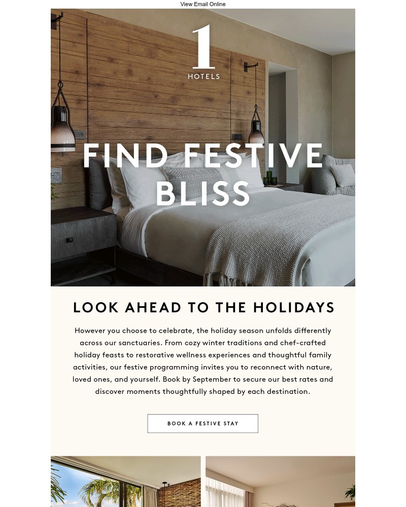 Screenshot of email with subject /media/emails/look-ahead-to-the-festive-season-484e65-cropped-509f886f.jpg