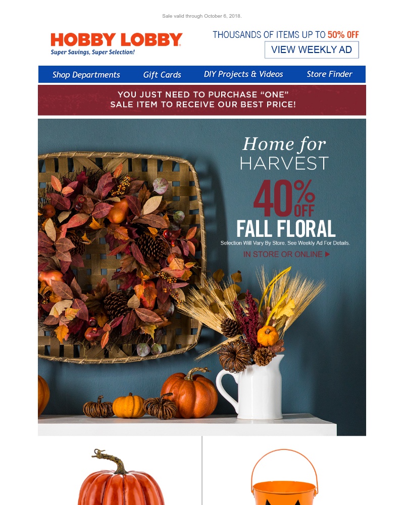 Screenshot of email with subject /media/emails/look-at-this-fall-floral-cropped-7675ca49.jpg