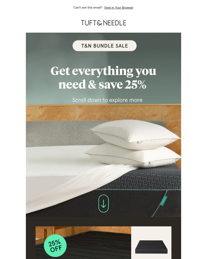 Screenshot of email sent to a Tuft & Needle Newsletter subscriber