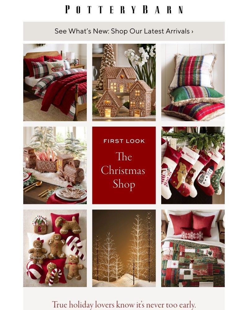 Screenshot of email with subject /media/emails/looking-ahead-to-the-holidays-this-is-for-you-516a72-cropped-1fedc595.jpg