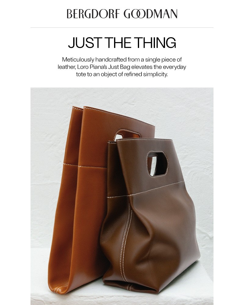 Screenshot of email with subject /media/emails/loro-pianas-sleek-new-bag-68569c-cropped-087704f2.jpg